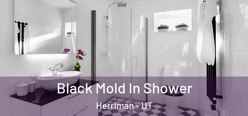 Black Mold In Shower Herriman - UT