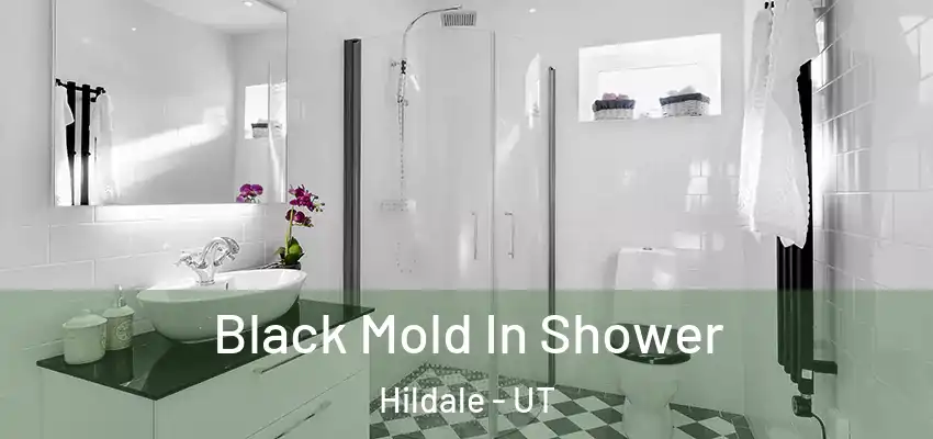  Black Mold In Shower Hildale - UT