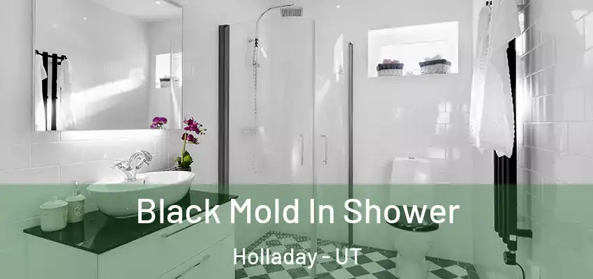 Black Mold In Shower Holladay - UT