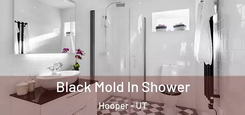  Black Mold In Shower Hooper - UT