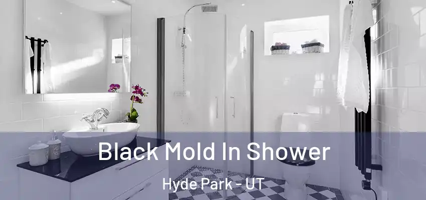 Black Mold In Shower Hyde Park - UT
