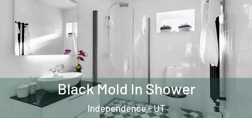 Black Mold In Shower Independence - UT