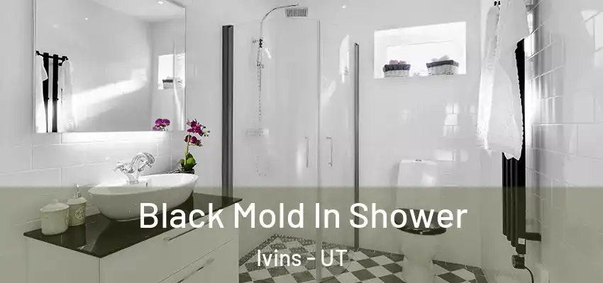  Black Mold In Shower Ivins - UT