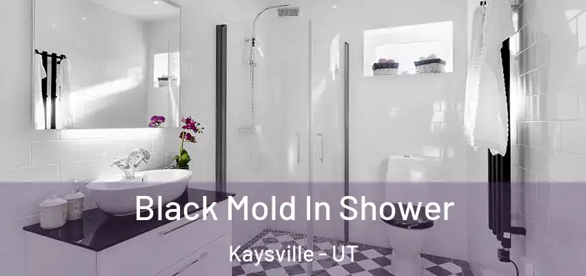  Black Mold In Shower Kaysville - UT