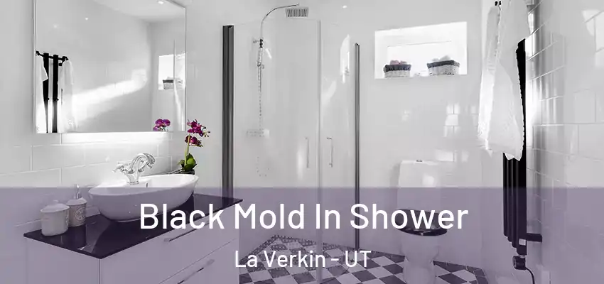Black Mold In Shower La Verkin - UT