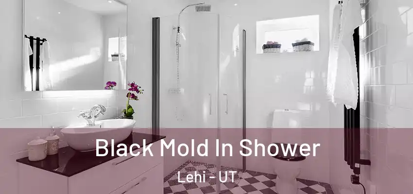  Black Mold In Shower Lehi - UT