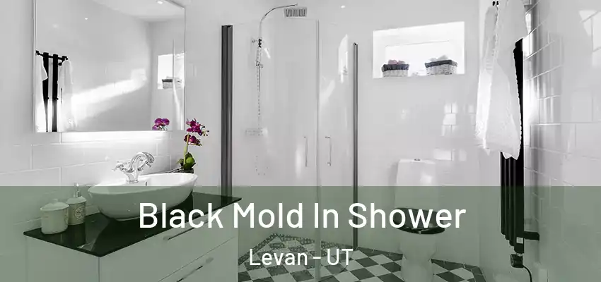  Black Mold In Shower Levan - UT