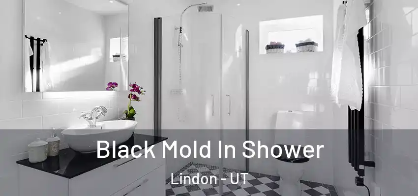 Black Mold In Shower Lindon - UT