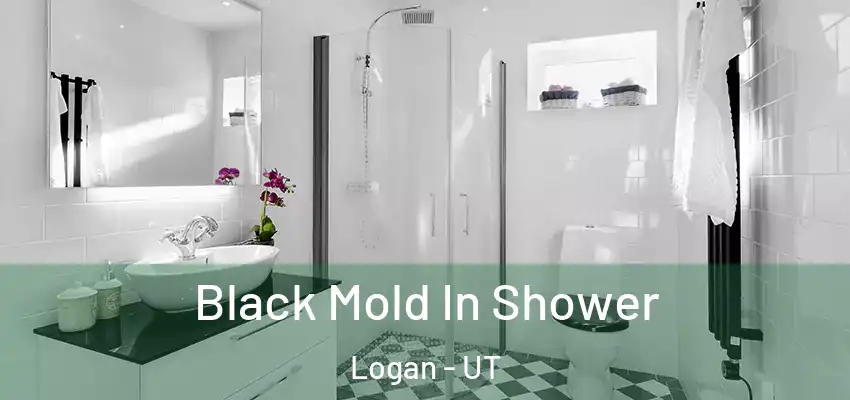  Black Mold In Shower Logan - UT