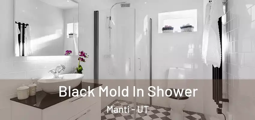  Black Mold In Shower Manti - UT