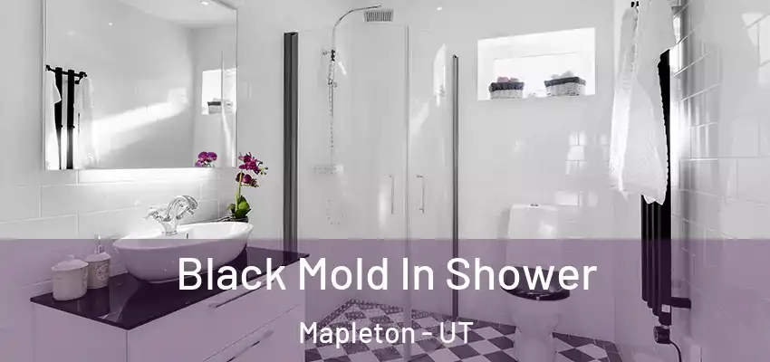  Black Mold In Shower Mapleton - UT