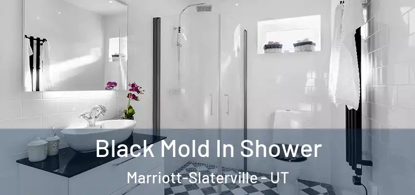  Black Mold In Shower Marriott-Slaterville - UT