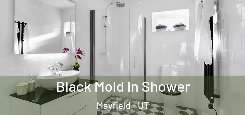  Black Mold In Shower Mayfield - UT