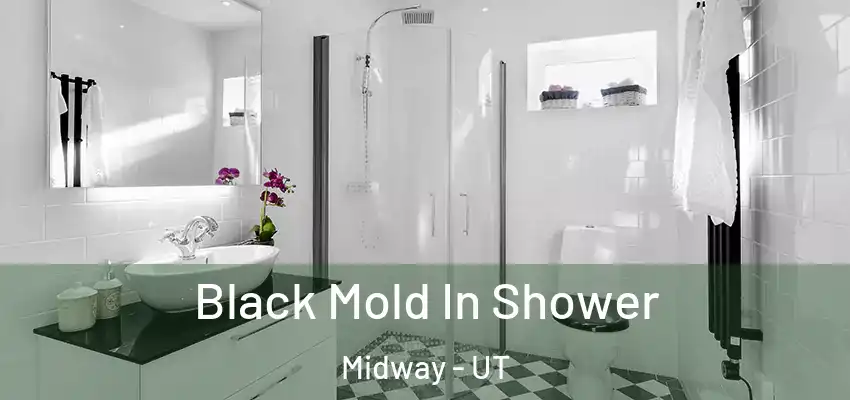  Black Mold In Shower Midway - UT