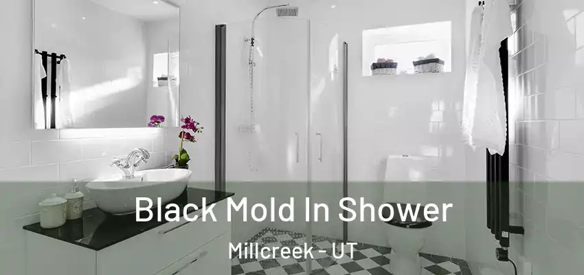  Black Mold In Shower Millcreek - UT