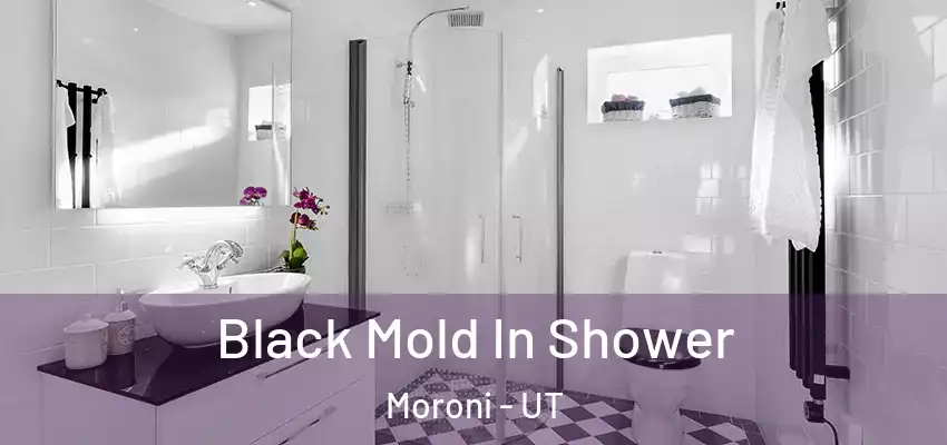 Black Mold In Shower Moroni - UT