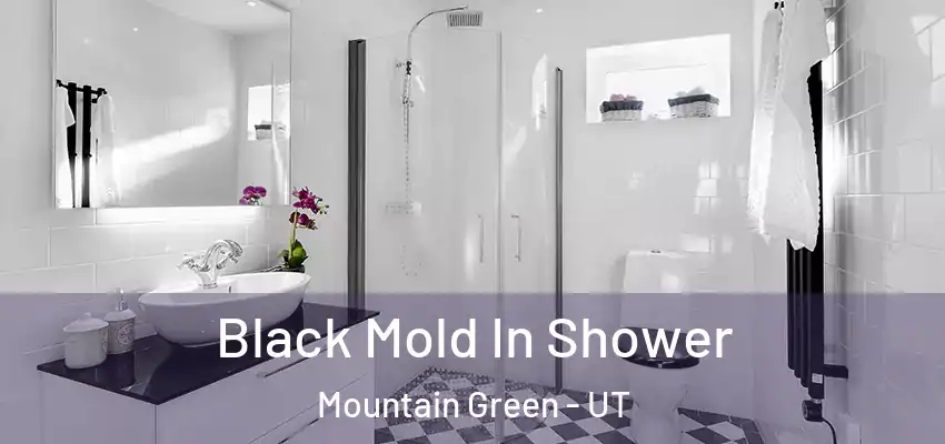  Black Mold In Shower Mountain Green - UT
