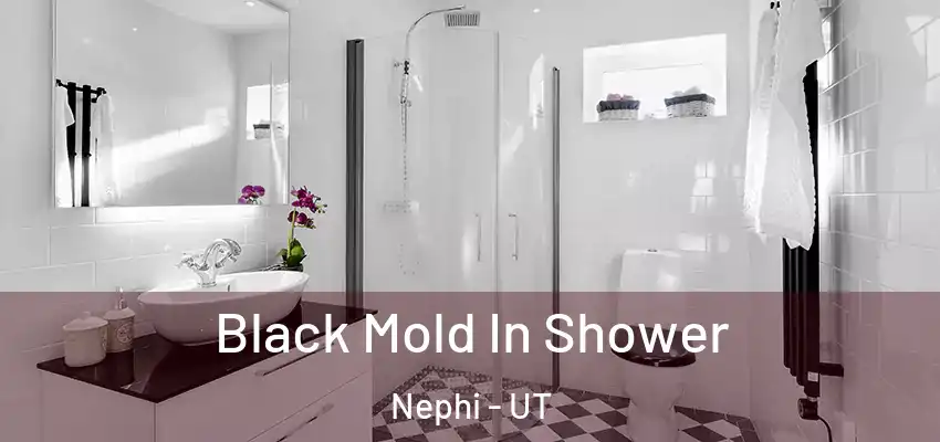  Black Mold In Shower Nephi - UT