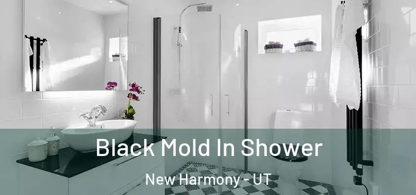 Black Mold In Shower New Harmony - UT