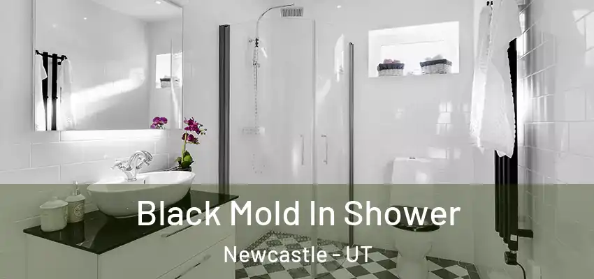 Black Mold In Shower Newcastle - UT