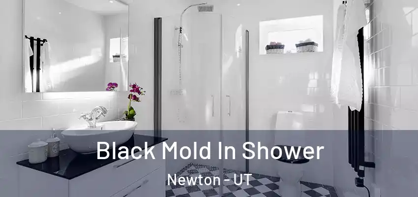  Black Mold In Shower Newton - UT