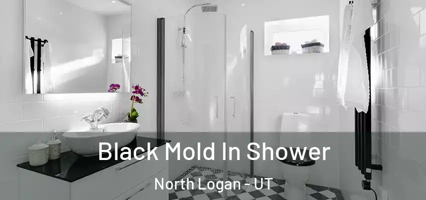  Black Mold In Shower North Logan - UT