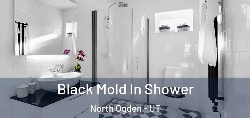 Black Mold In Shower North Ogden - UT