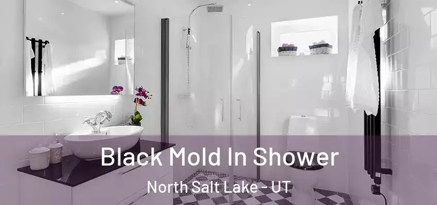  Black Mold In Shower North Salt Lake - UT
