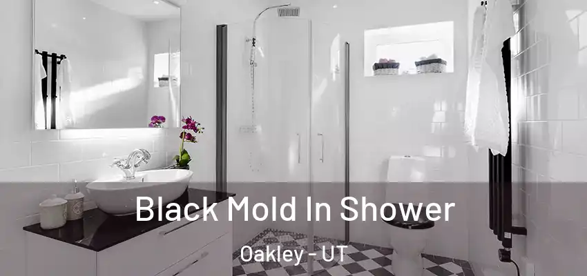 Black Mold In Shower Oakley - UT