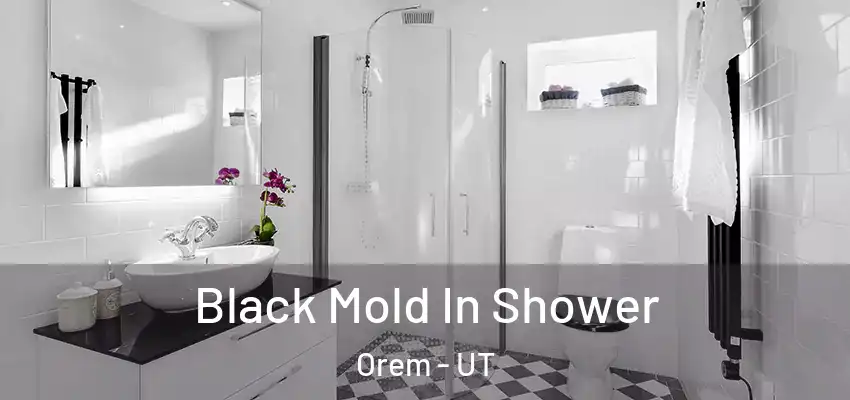 Black Mold In Shower Orem - UT