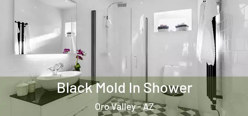 Black Mold In Shower Oro Valley - AZ