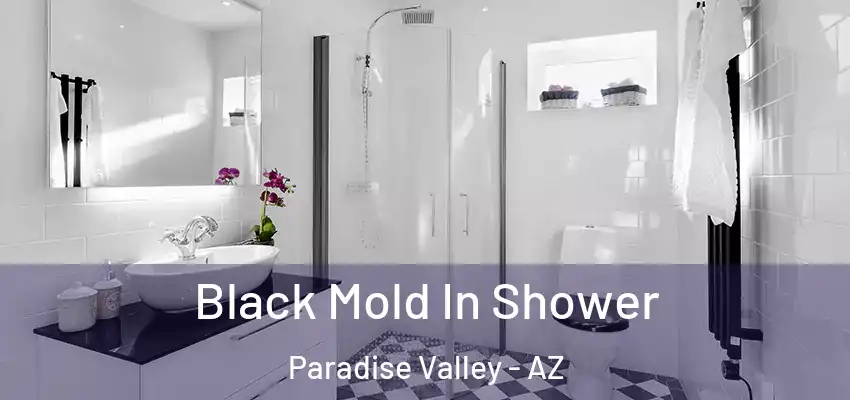  Black Mold In Shower Paradise Valley - AZ