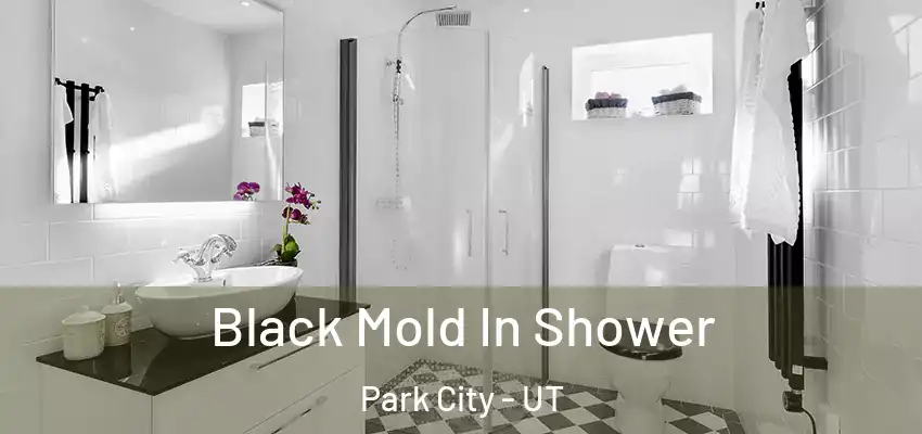  Black Mold In Shower Park City - UT