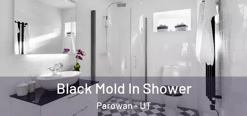 Black Mold In Shower Parowan - UT