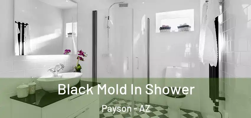  Black Mold In Shower Payson - AZ
