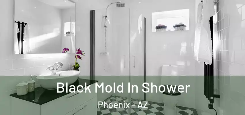 Black Mold In Shower Phoenix - AZ