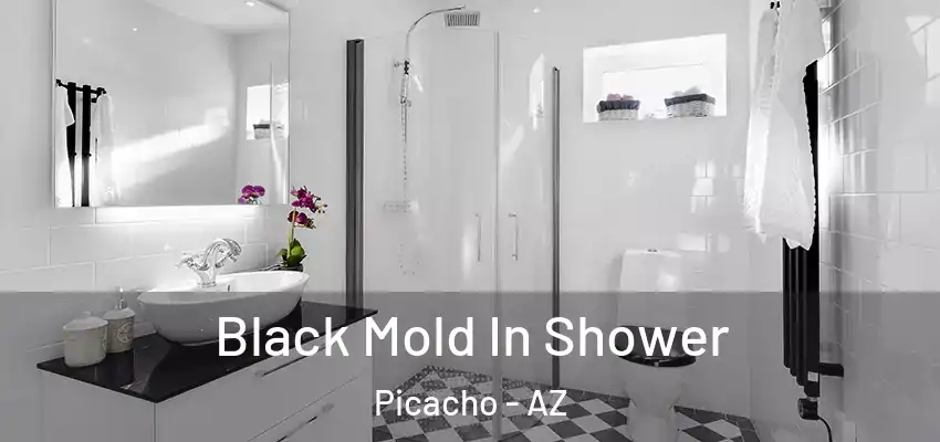Black Mold In Shower Picacho - AZ