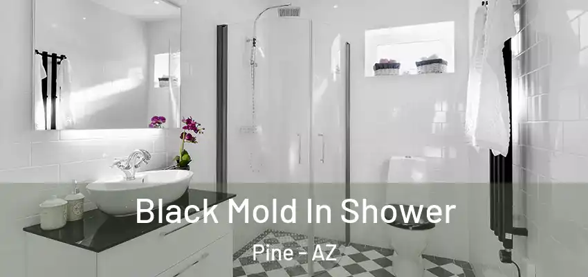 Black Mold In Shower Pine - AZ