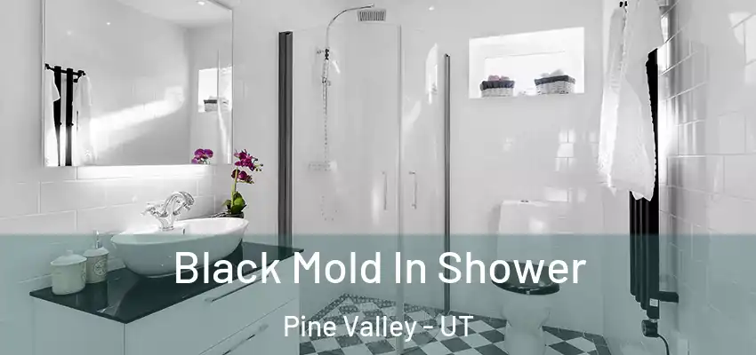  Black Mold In Shower Pine Valley - UT
