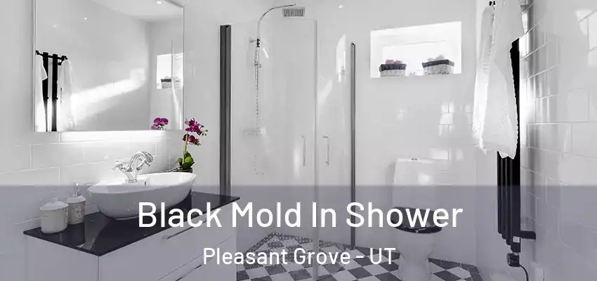 Black Mold In Shower Pleasant Grove - UT