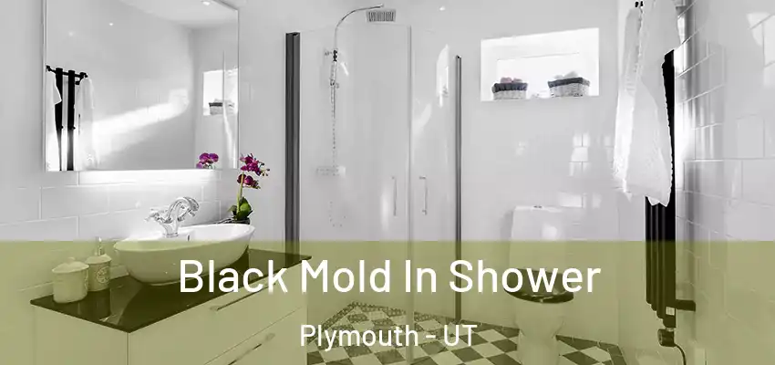  Black Mold In Shower Plymouth - UT