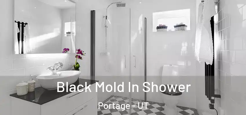  Black Mold In Shower Portage - UT