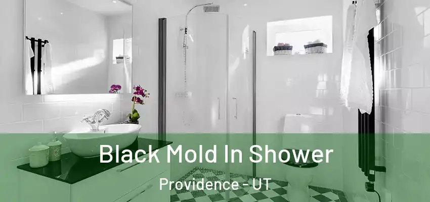 Black Mold In Shower Providence - UT