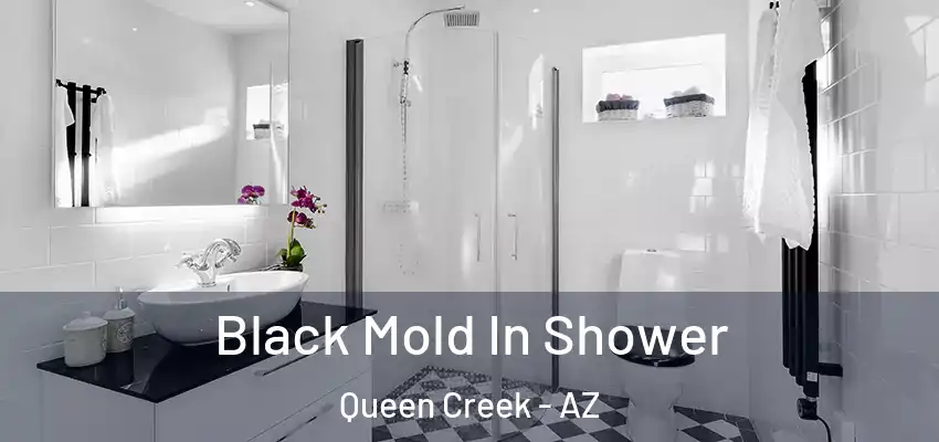 Black Mold In Shower Queen Creek - AZ