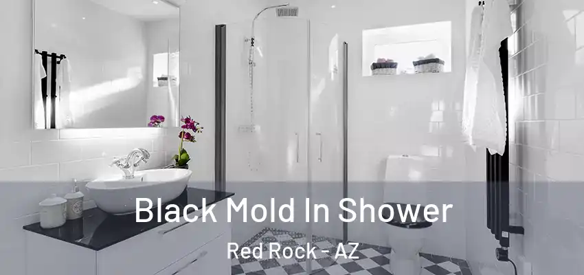  Black Mold In Shower Red Rock - AZ