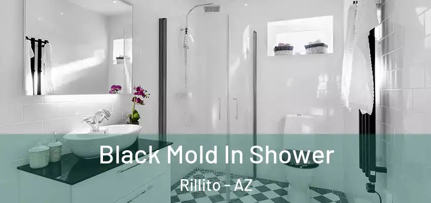  Black Mold In Shower Rillito - AZ