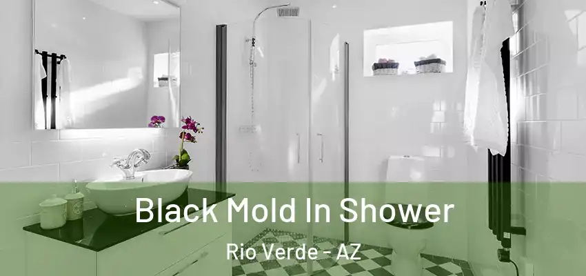  Black Mold In Shower Rio Verde - AZ