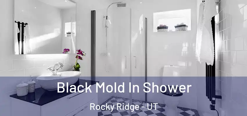  Black Mold In Shower Rocky Ridge - UT