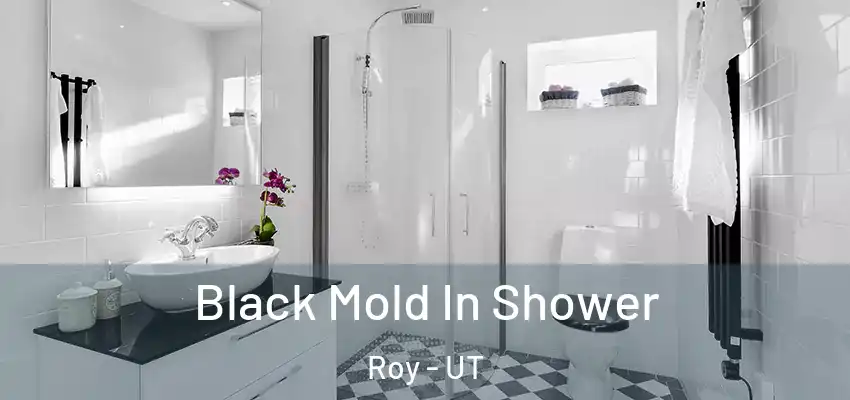  Black Mold In Shower Roy - UT