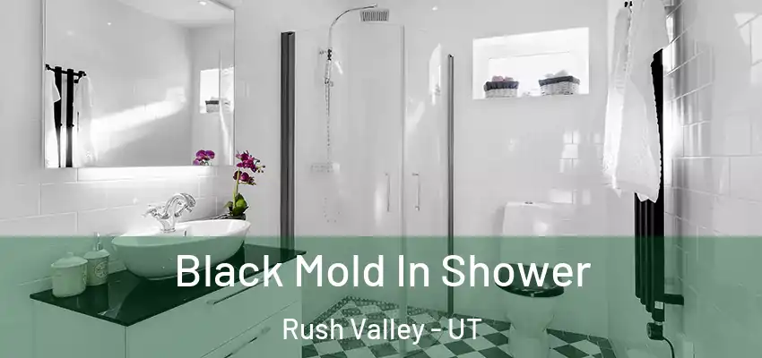  Black Mold In Shower Rush Valley - UT